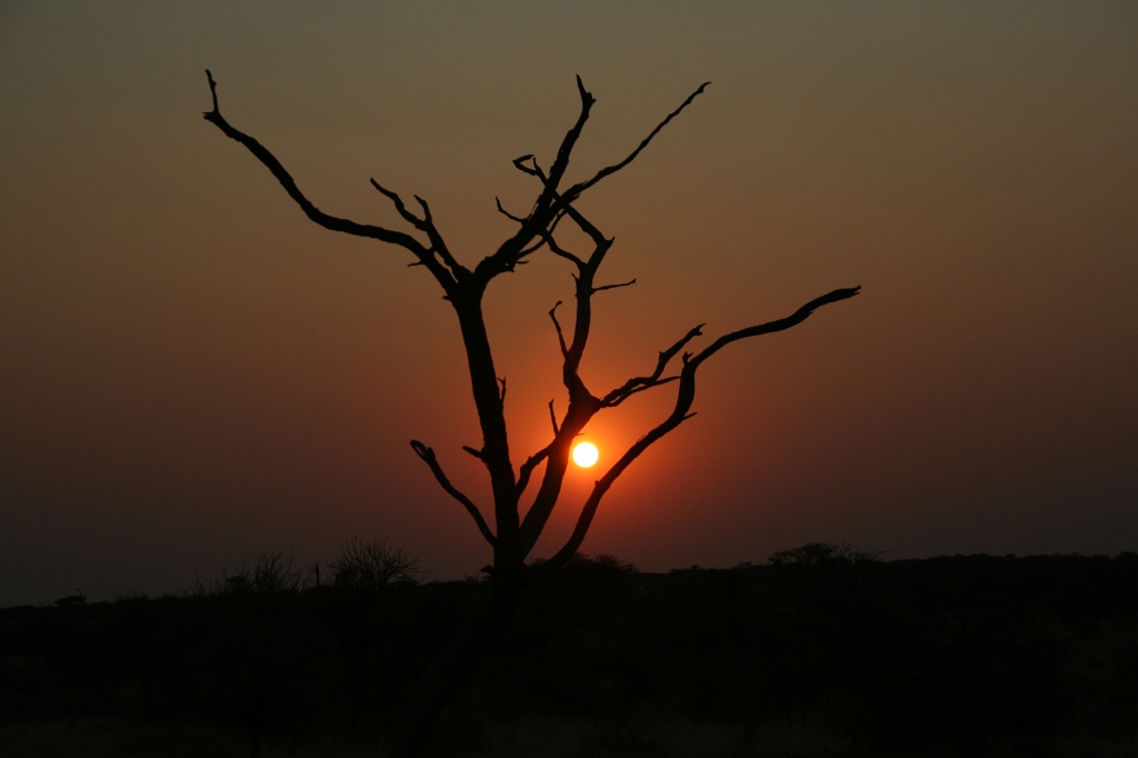 Namibia (4)